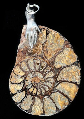 Moroccan Ammonite Fossil Pendant #58379